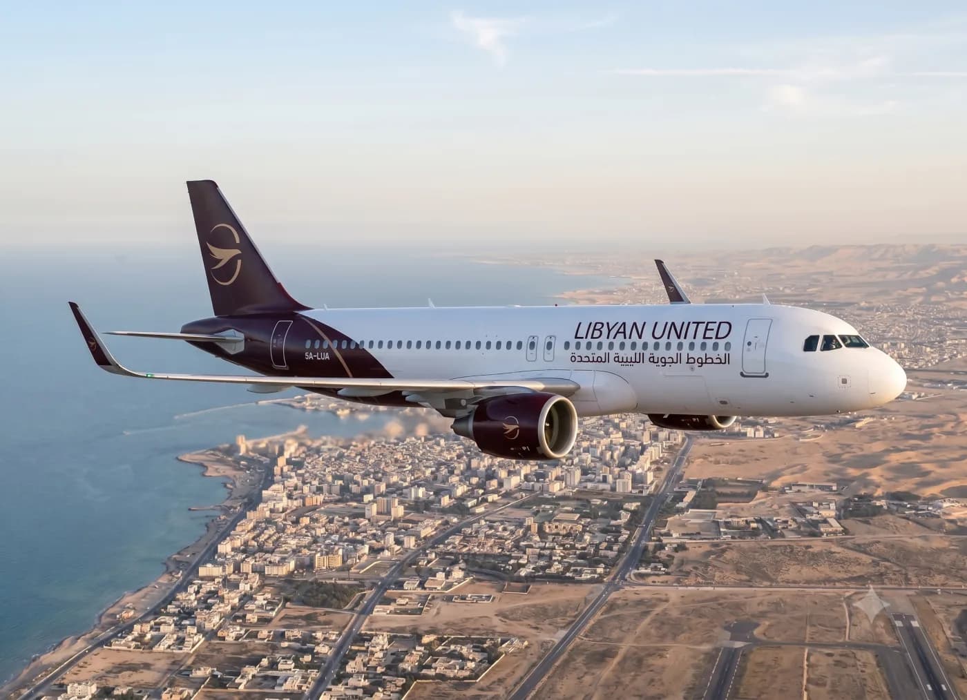 Expansion Through Aircraft Ownership.
